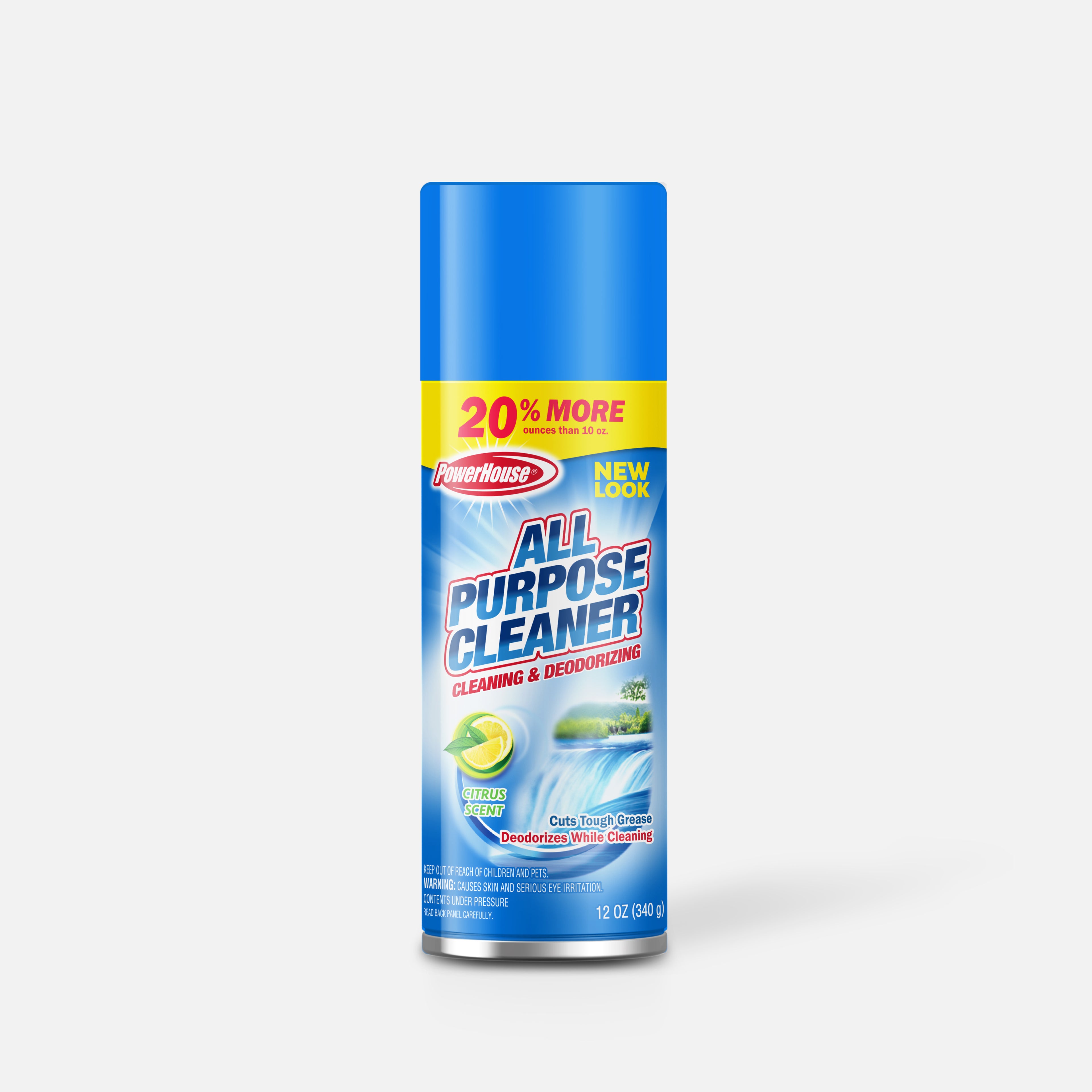 Aerosol All Purpose Cleaner