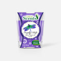 Scented Candle - Dragonfly’s Delight