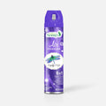 Aerosol Air Freshener - Dragonfly’s Delight