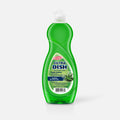 Dish Detergent Succulent Aloe