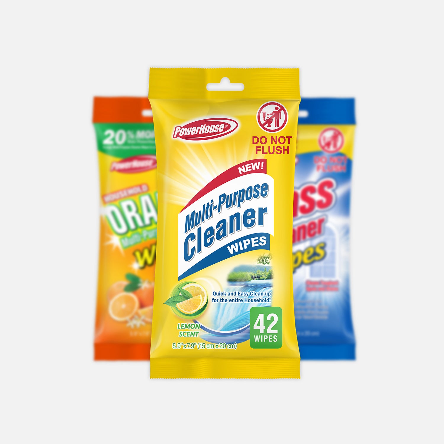 Wet Cleaning Wipes
